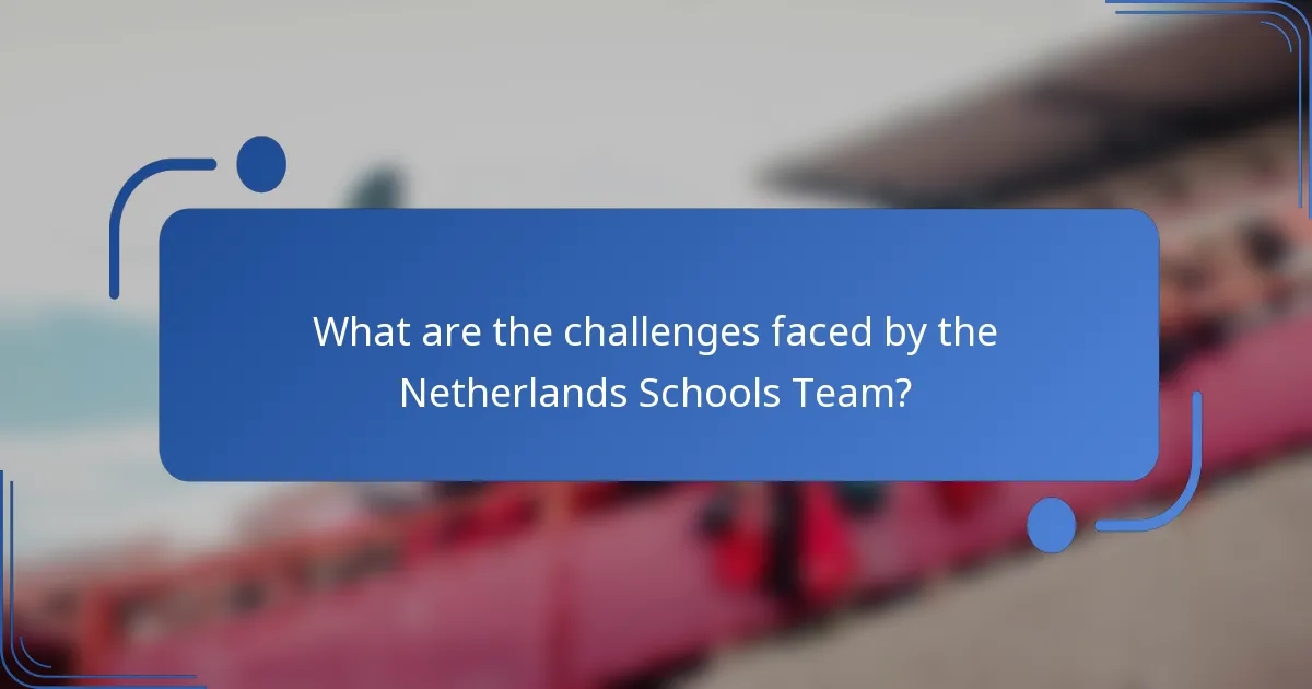 What are the challenges faced by the Netherlands Schools Team?