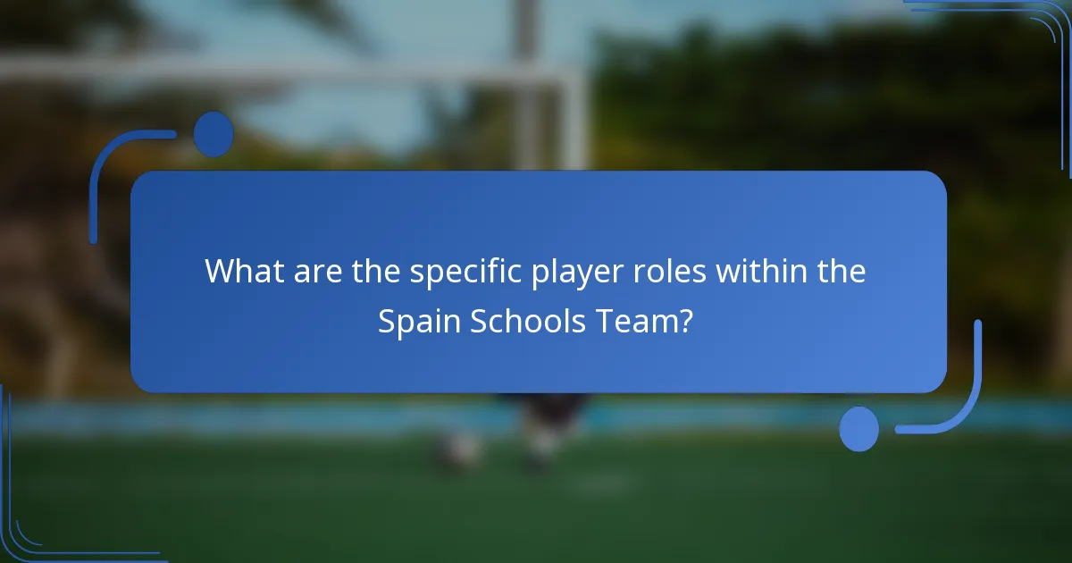 What are the specific player roles within the Spain Schools Team?